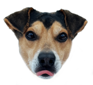 Emote: Gesicht von Alfi