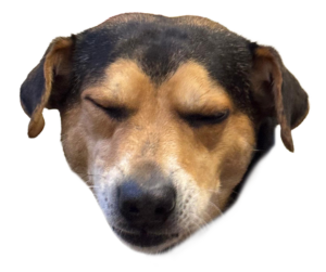 Emote: Gesicht von Alfi